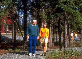 Copper River Princess Wilderness Lodge Copper Center Extérieur photo